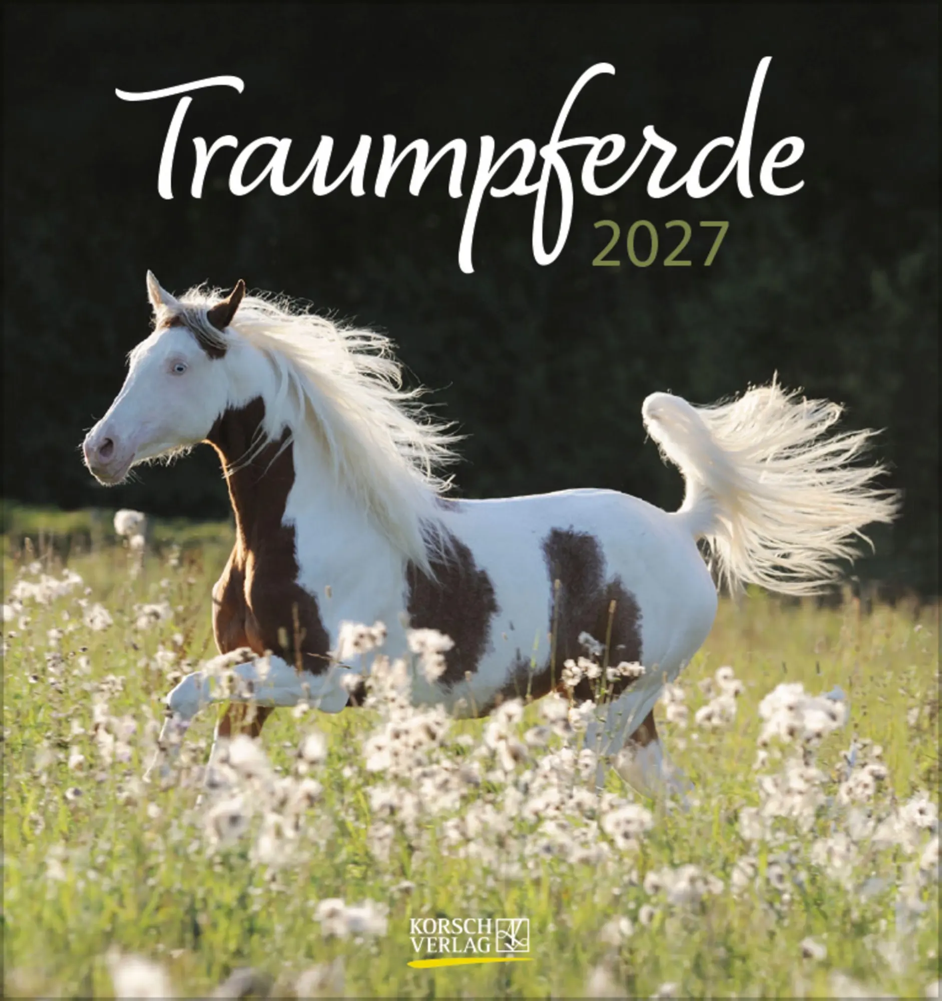 Cover: 9783819301025 | Traumpferde 2027 | aufstellbarer Postkartenkalender | Verlag Korsch