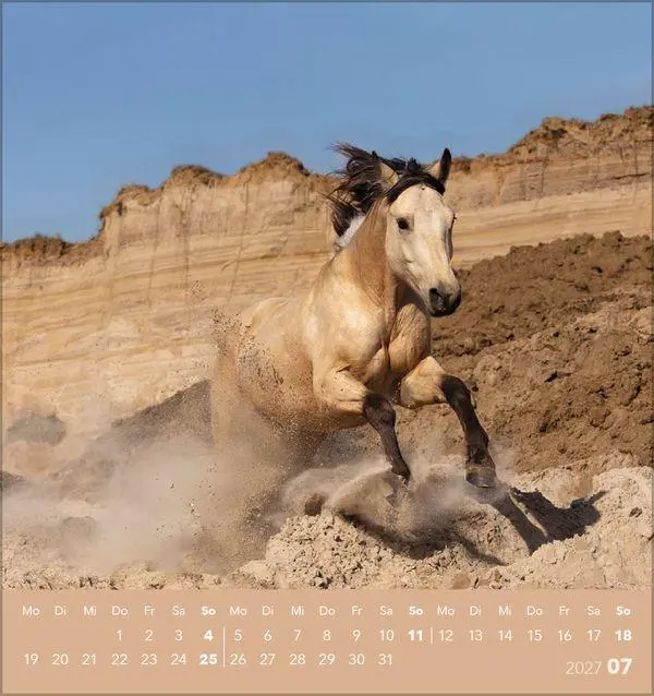 Bild: 9783819301025 | Traumpferde 2027 | aufstellbarer Postkartenkalender | Verlag Korsch