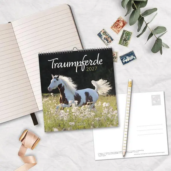 Bild: 9783819301025 | Traumpferde 2027 | aufstellbarer Postkartenkalender | Verlag Korsch