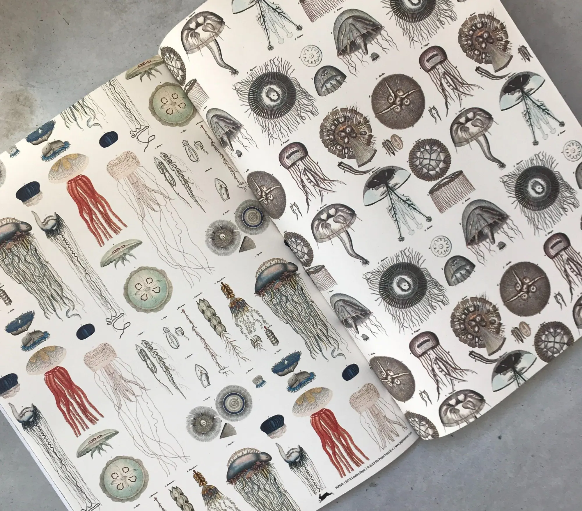 Bild: 9789460091025 | Marine | Gift &amp; Creative Paper Book Vol. 89 | Pepin Van Roojen | Buch