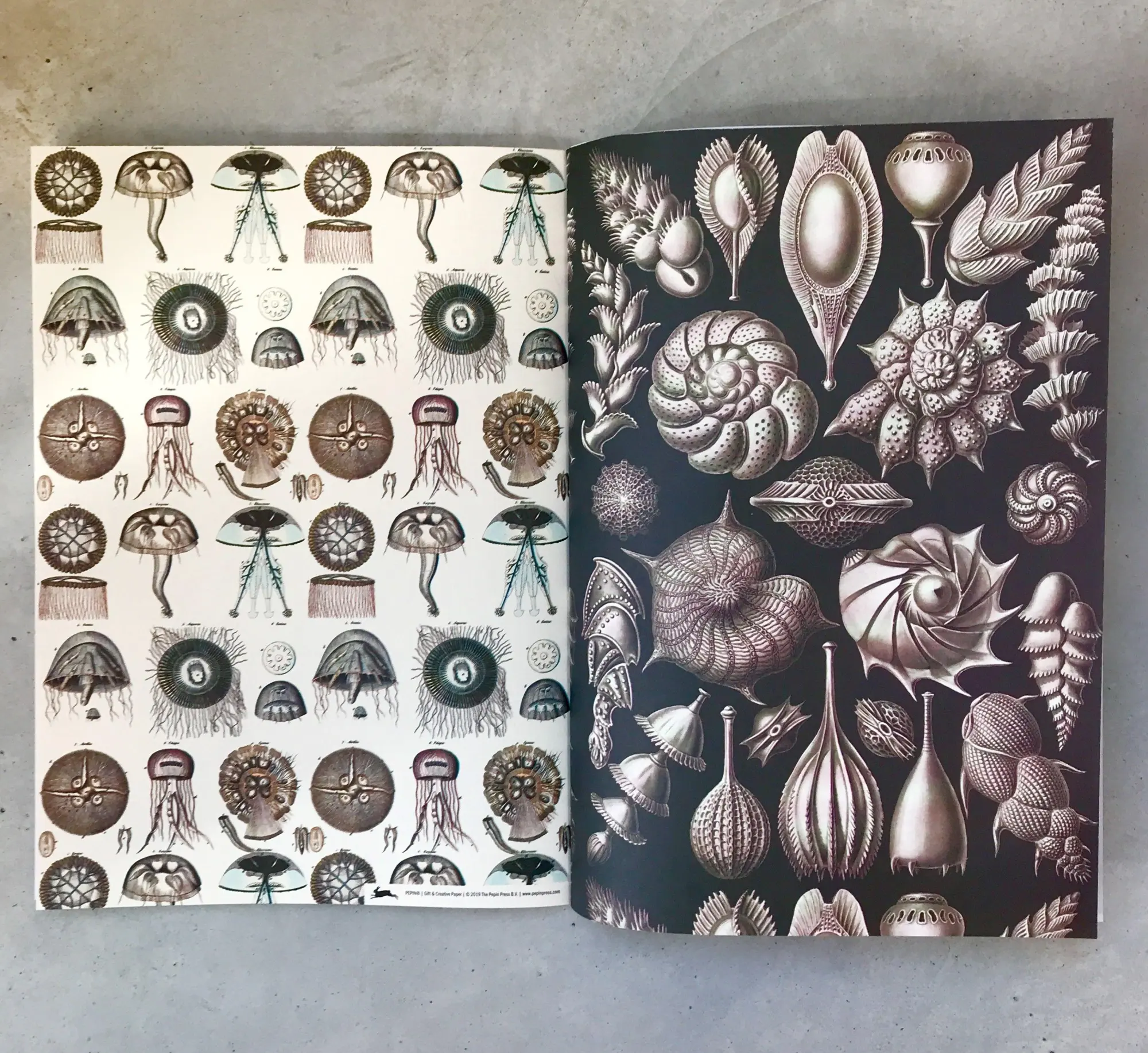 Bild: 9789460091025 | Marine | Gift &amp; Creative Paper Book Vol. 89 | Pepin Van Roojen | Buch