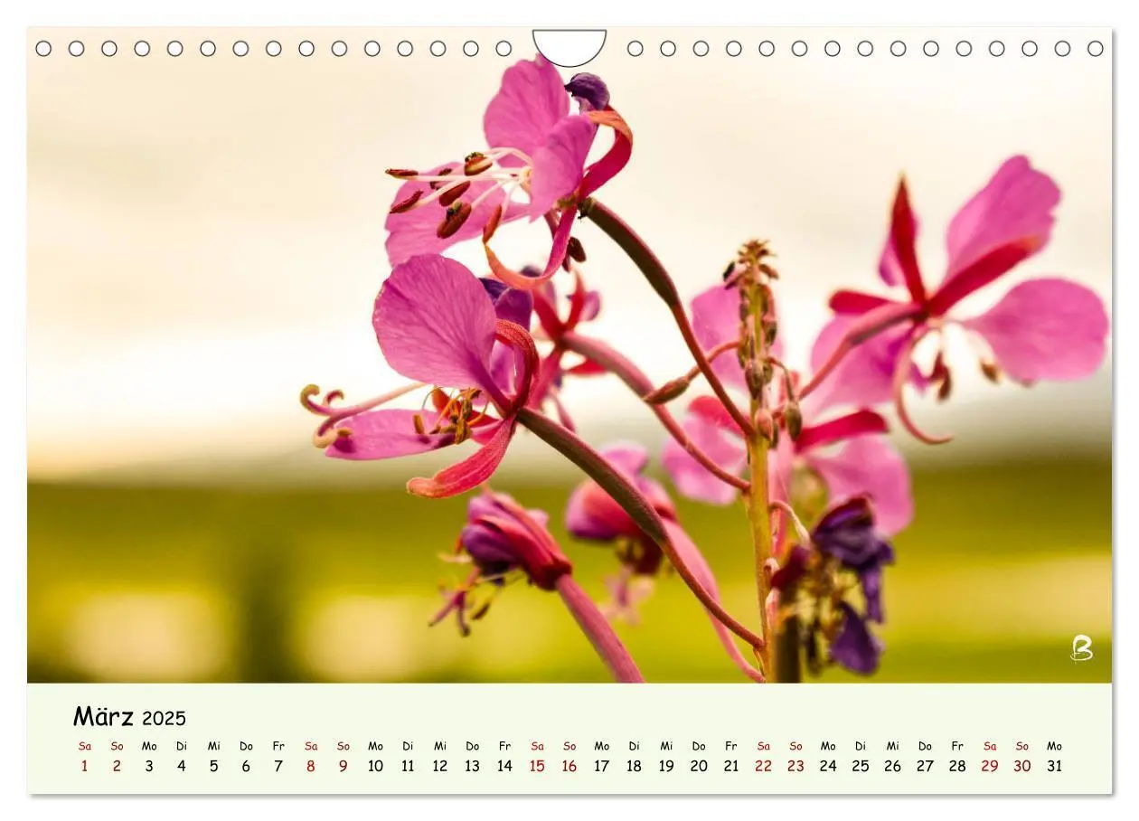 Bild: 9783435171125 | Entdecke den Yukon (Wandkalender 2025 DIN A4 quer), CALVENDO...