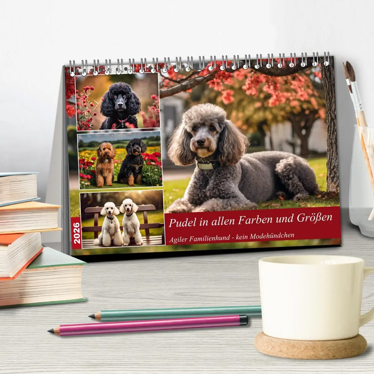 Bild: 9783457401125 | Pudel in allen Farben und Größen (Tischkalender 2026 DIN A5 quer),...