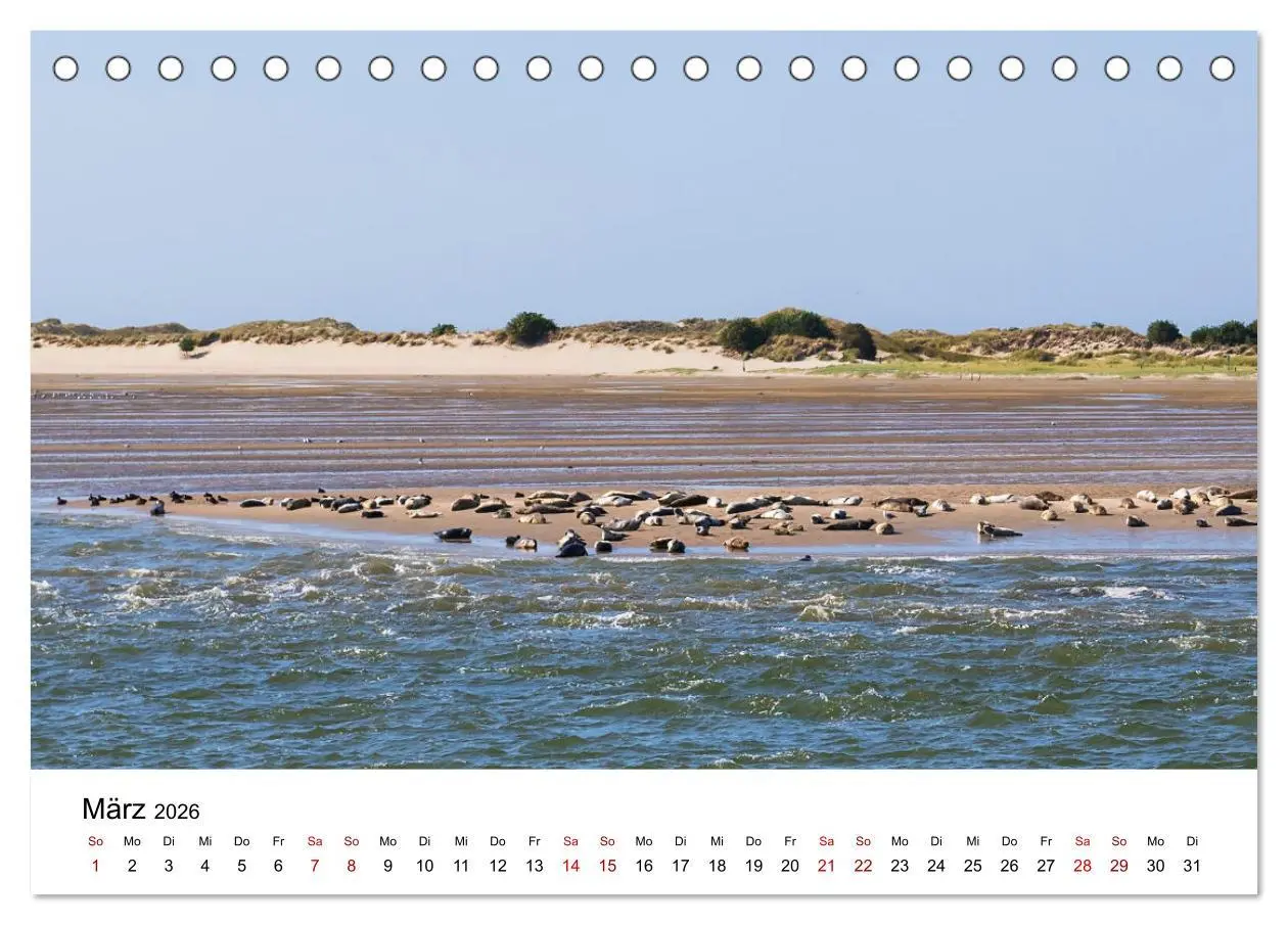 Bild: 9783457641125 | Ostfriesland - Ein Jahr in Bildern (Tischkalender 2026 DIN A5...