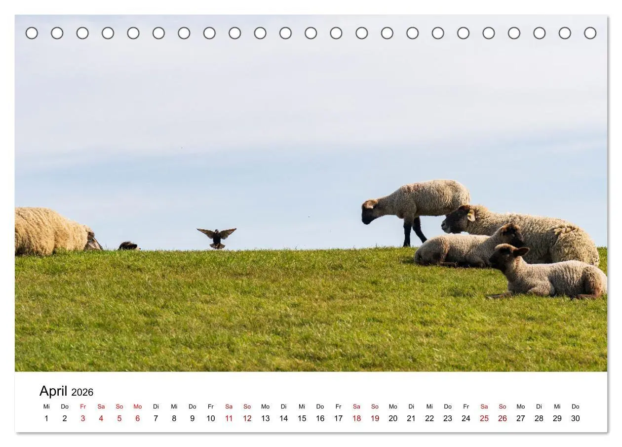 Bild: 9783457641125 | Ostfriesland - Ein Jahr in Bildern (Tischkalender 2026 DIN A5...