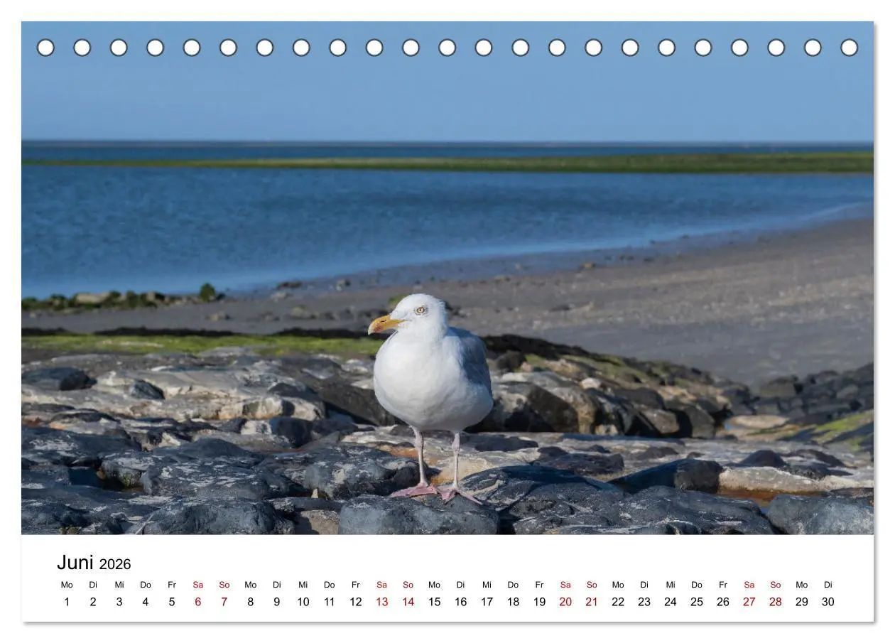 Bild: 9783457641125 | Ostfriesland - Ein Jahr in Bildern (Tischkalender 2026 DIN A5...