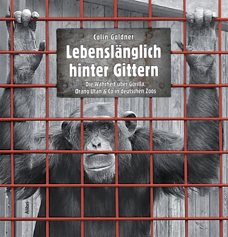 Cover: 9783865691125 | Lebenslänglich hinter Gittern | Colin Goldner | Taschenbuch | 490 S.
