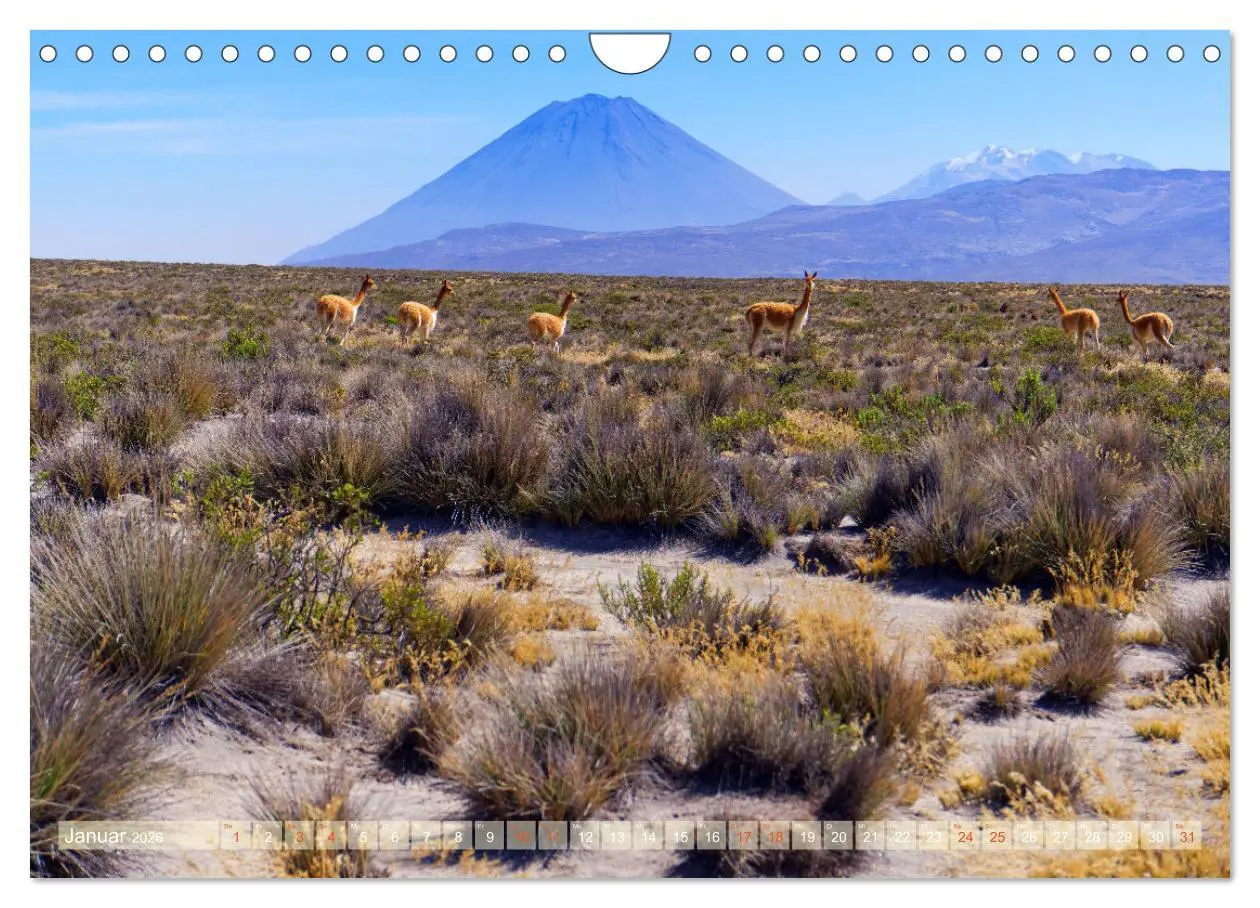 Bild: 9783457321225 | Bekanntes und Unbekanntes Peru (Wandkalender 2026 DIN A4 quer),...
