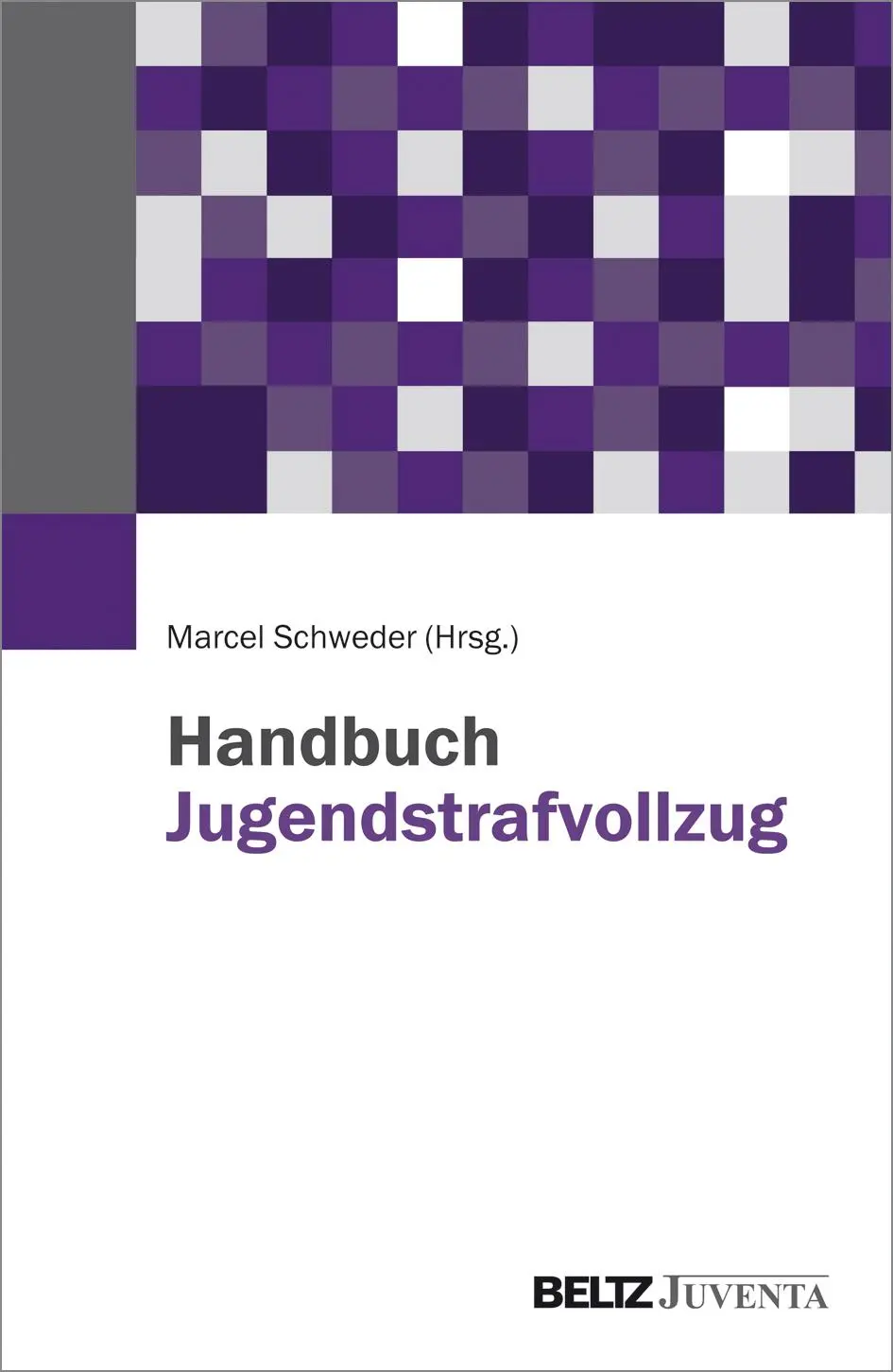 Cover: 9783779931225 | Handbuch Jugendstrafvollzug | Marcel Schweder | Buch | 888 S. | 2015