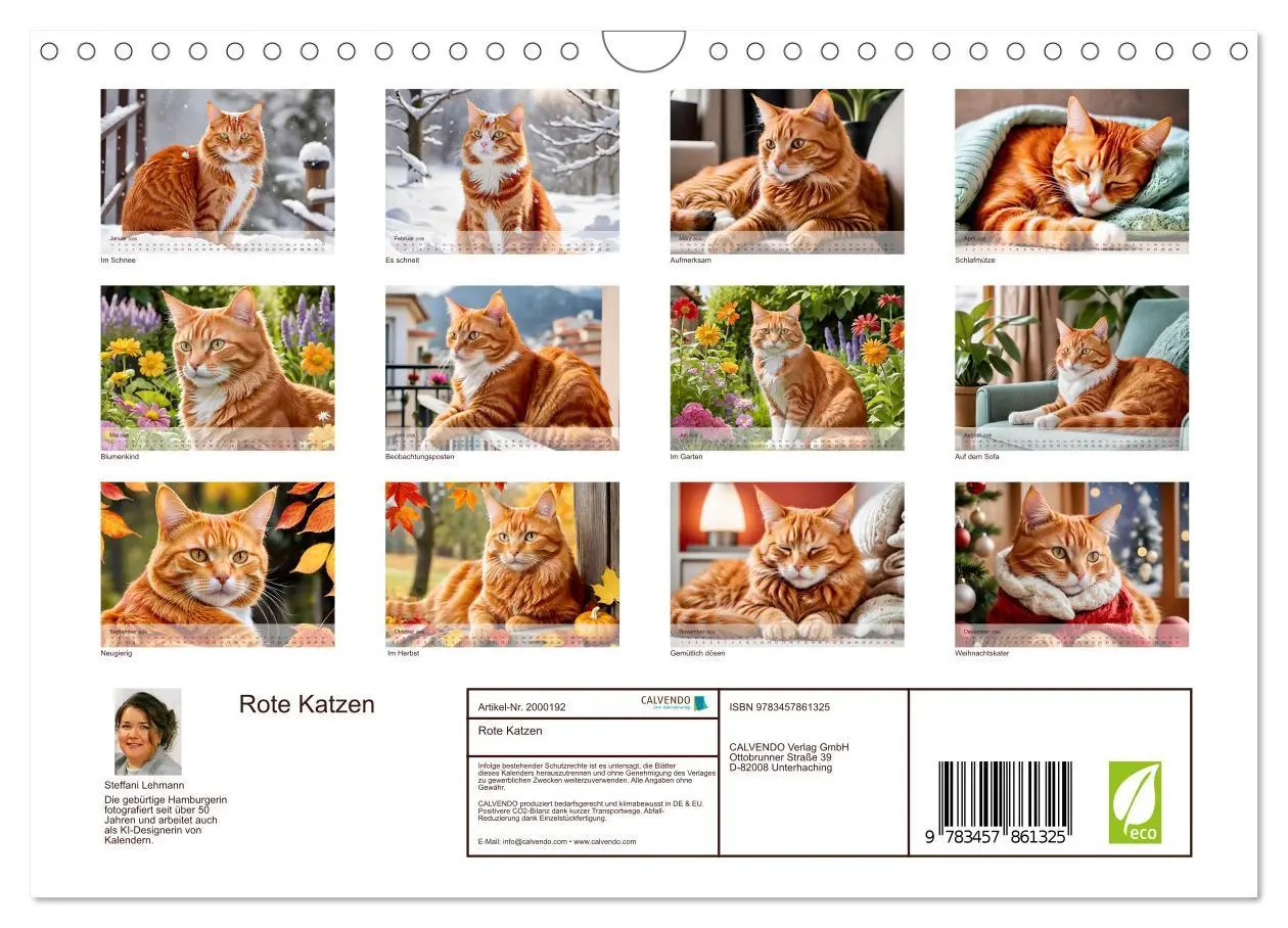 Bild: 9783457861325 | Rote Katzen (Wandkalender 2026 DIN A4 quer), CALVENDO Monatskalender