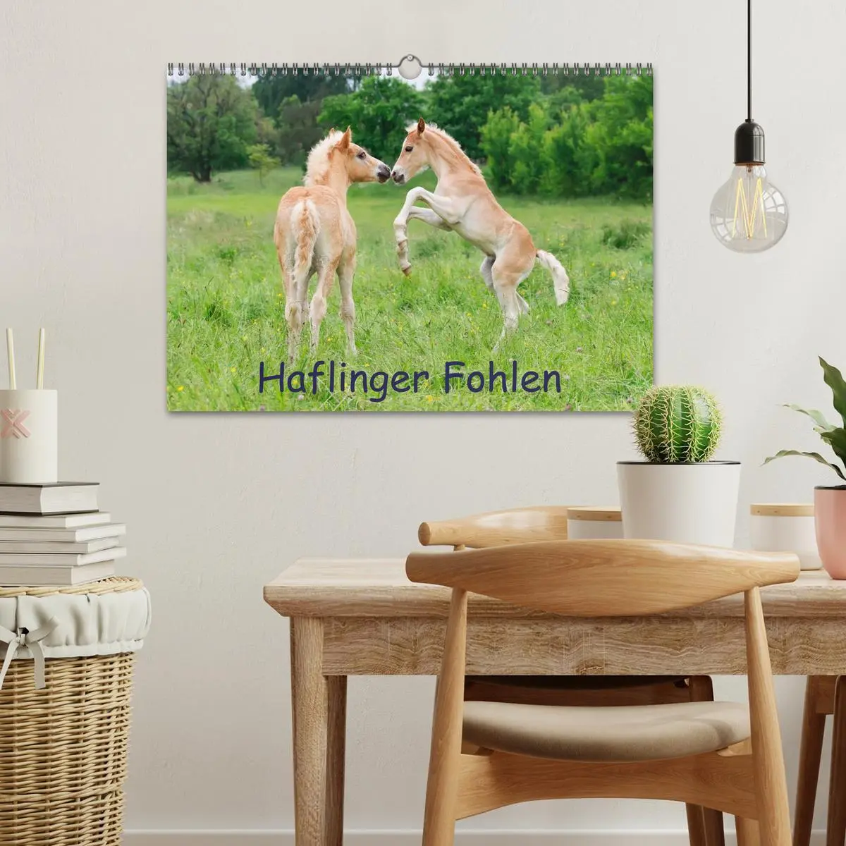 Bild: 9783516181425 | Haflinger Fohlen (Wandkalender 2026 DIN A3 quer), CALVENDO...