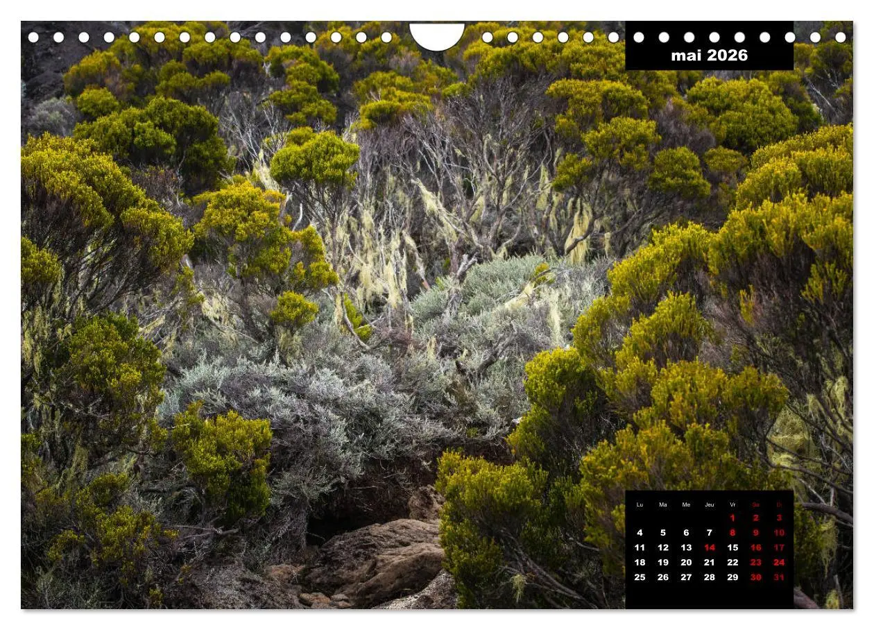Bild: 9783516561425 | Paysages de l'île de La Réunion (Calendrier mural 2026 DIN A4...