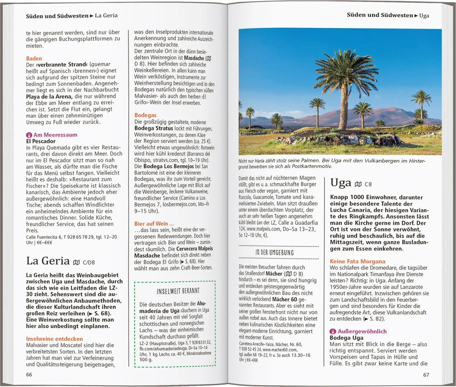 Bild: 9783616001425 | DUMONT direkt Reiseführer Lanzarote | Mit großem Faltplan | Buch