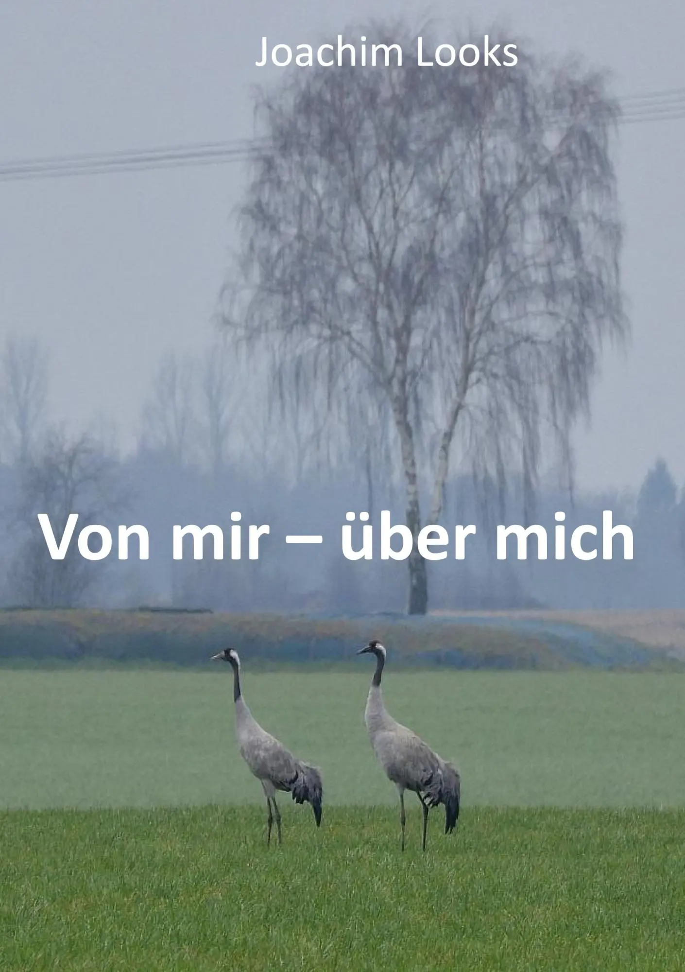 Cover: 9783769321425 | Von mir - über mich | Joachim Looks | Taschenbuch | 248 S. | Deutsch