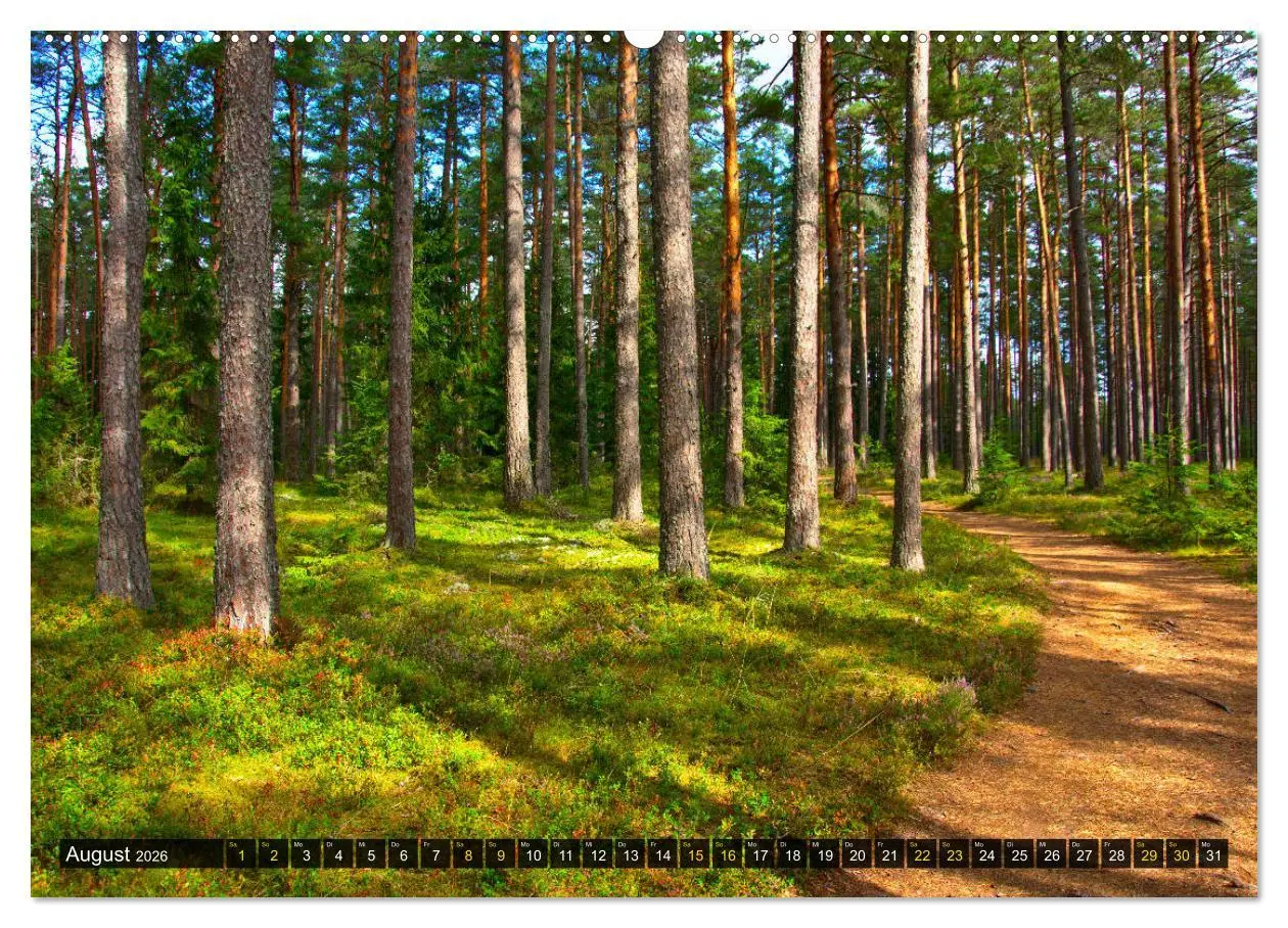 Bild: 9783457771525 | Bezauberndes Estland (Wandkalender 2026 DIN A2 quer), CALVENDO...