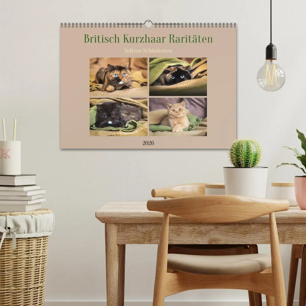 Bild: 9783457451625 | Britisch Kurzhaar Raritäten - seltene Schönheiten (Wandkalender...