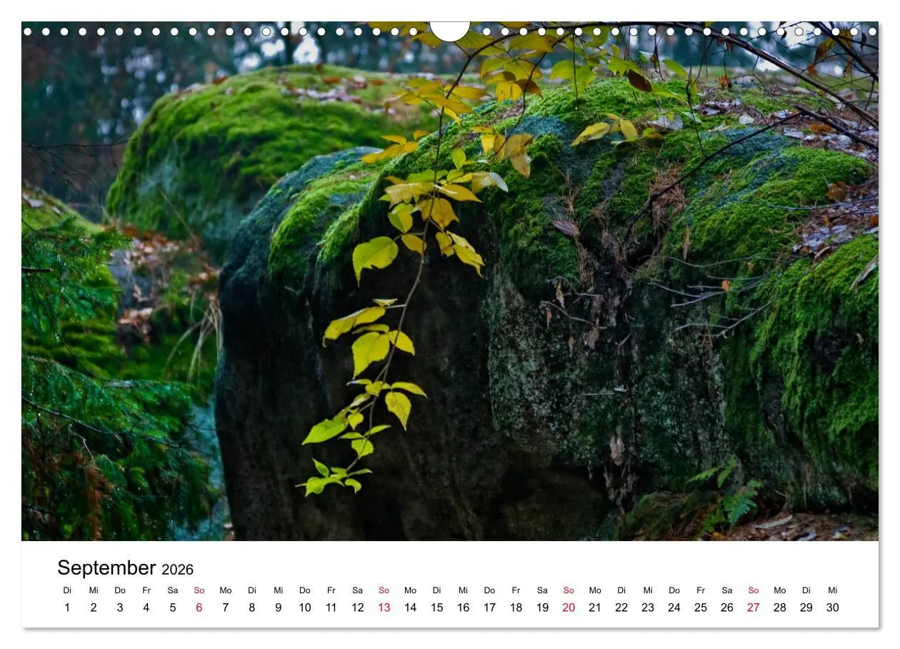 Bild: 9783457831625 | Granitwelten im Waldviertel (Wandkalender 2026 DIN A3 quer),...