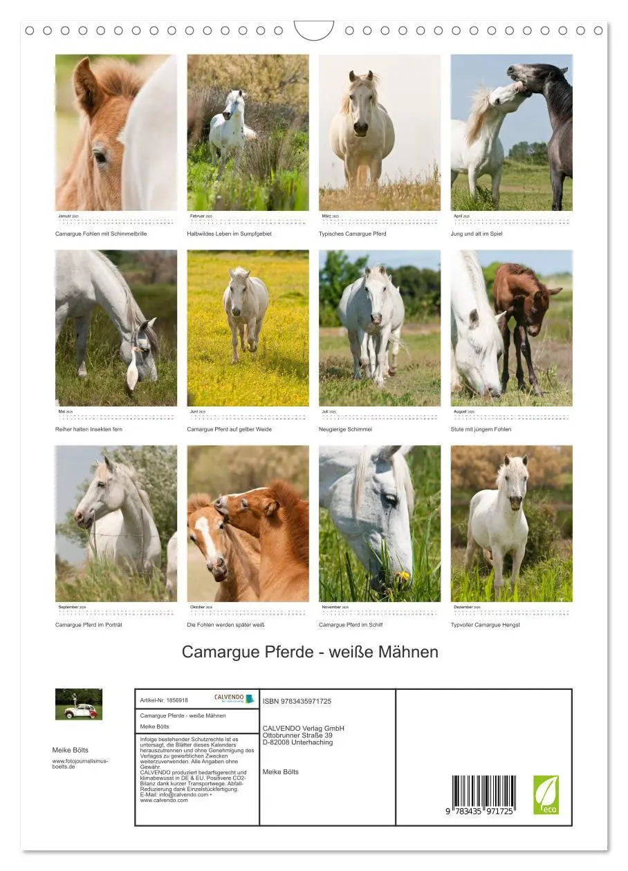 Bild: 9783435971725 | Camargue Pferde - weiße Mähnen (Wandkalender 2025 DIN A3 hoch),...