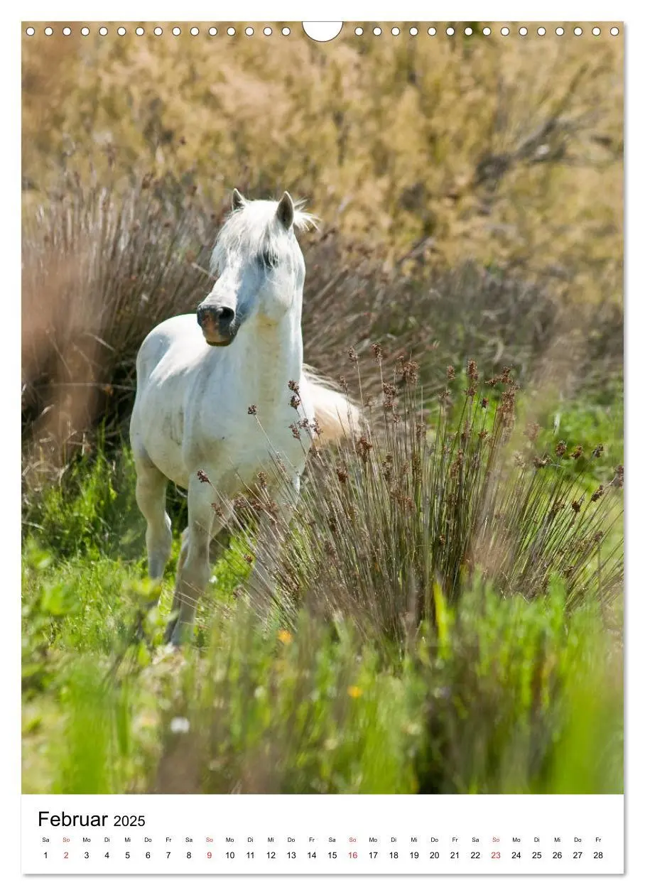 Bild: 9783435971725 | Camargue Pferde - weiße Mähnen (Wandkalender 2025 DIN A3 hoch),...