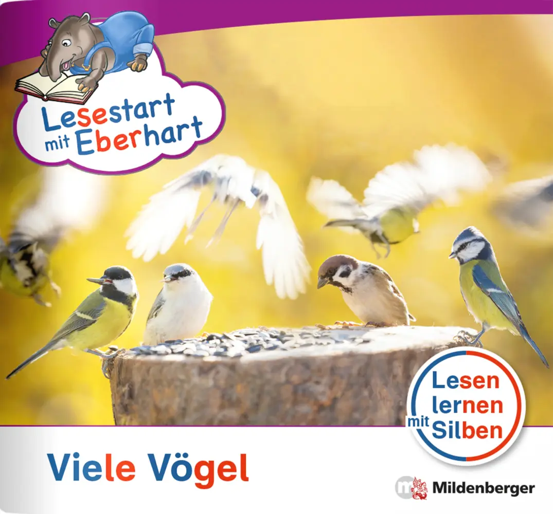 Cover: 9783619041725 | Lesestart mit Eberhart: Viele Vögel | Nicole Brandau (u. a.) | 16 S.