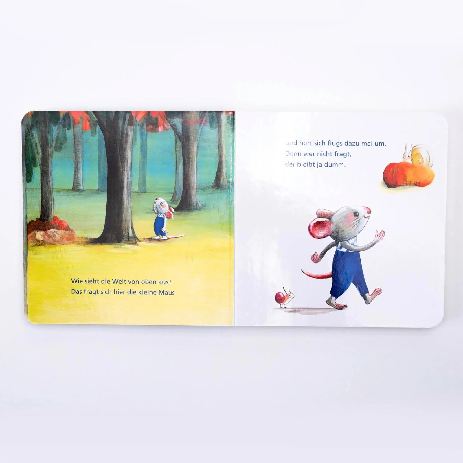 Bild: 9783757101725 | Die kleine Maus will hoch hinaus | Katja Reider | Buch | 24 S. | 2024