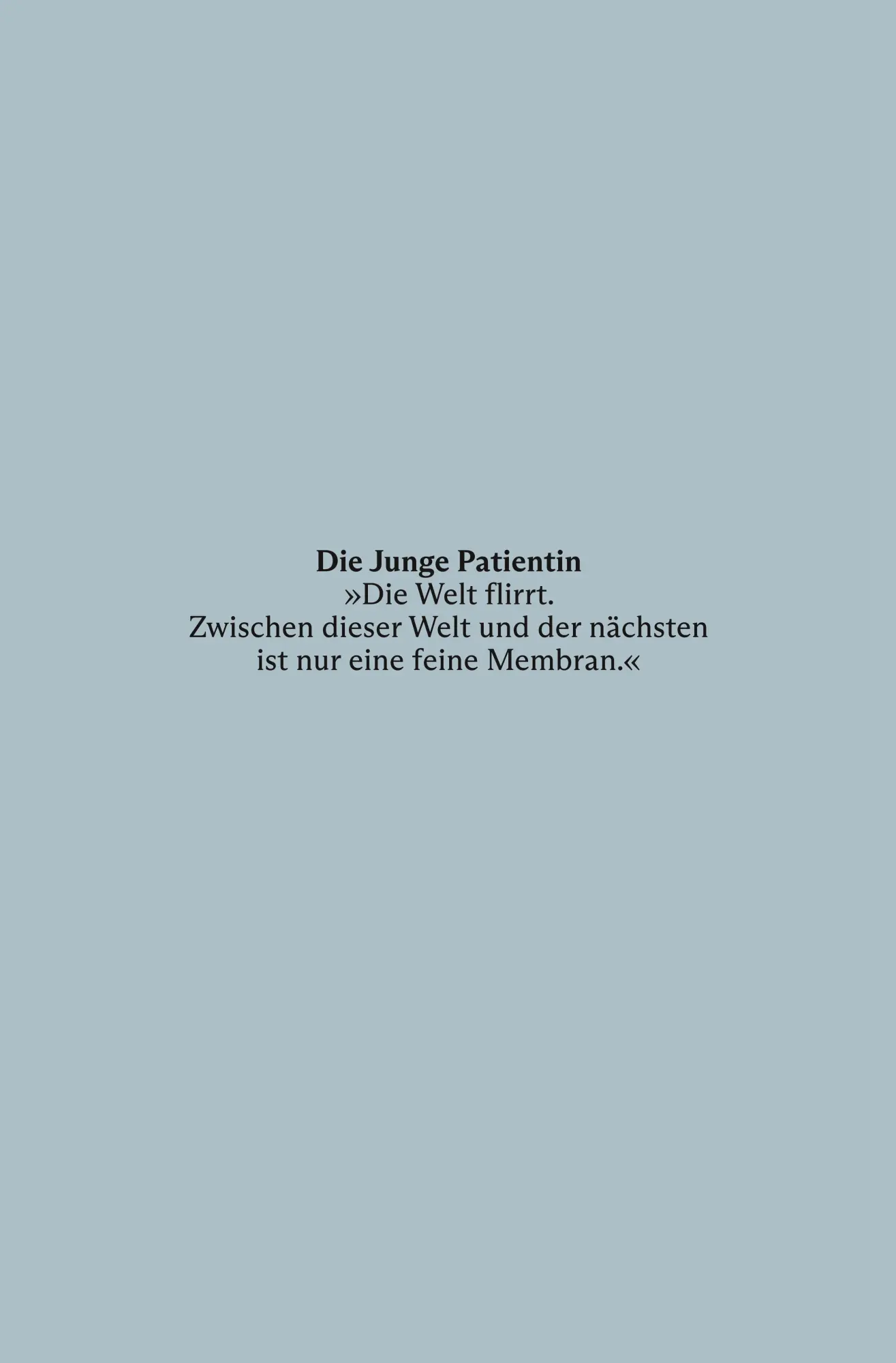 Rückseite: 9783518431825 | Schmerz Camp | Patty Kim Hamilton | Taschenbuch | 144 S. | Deutsch