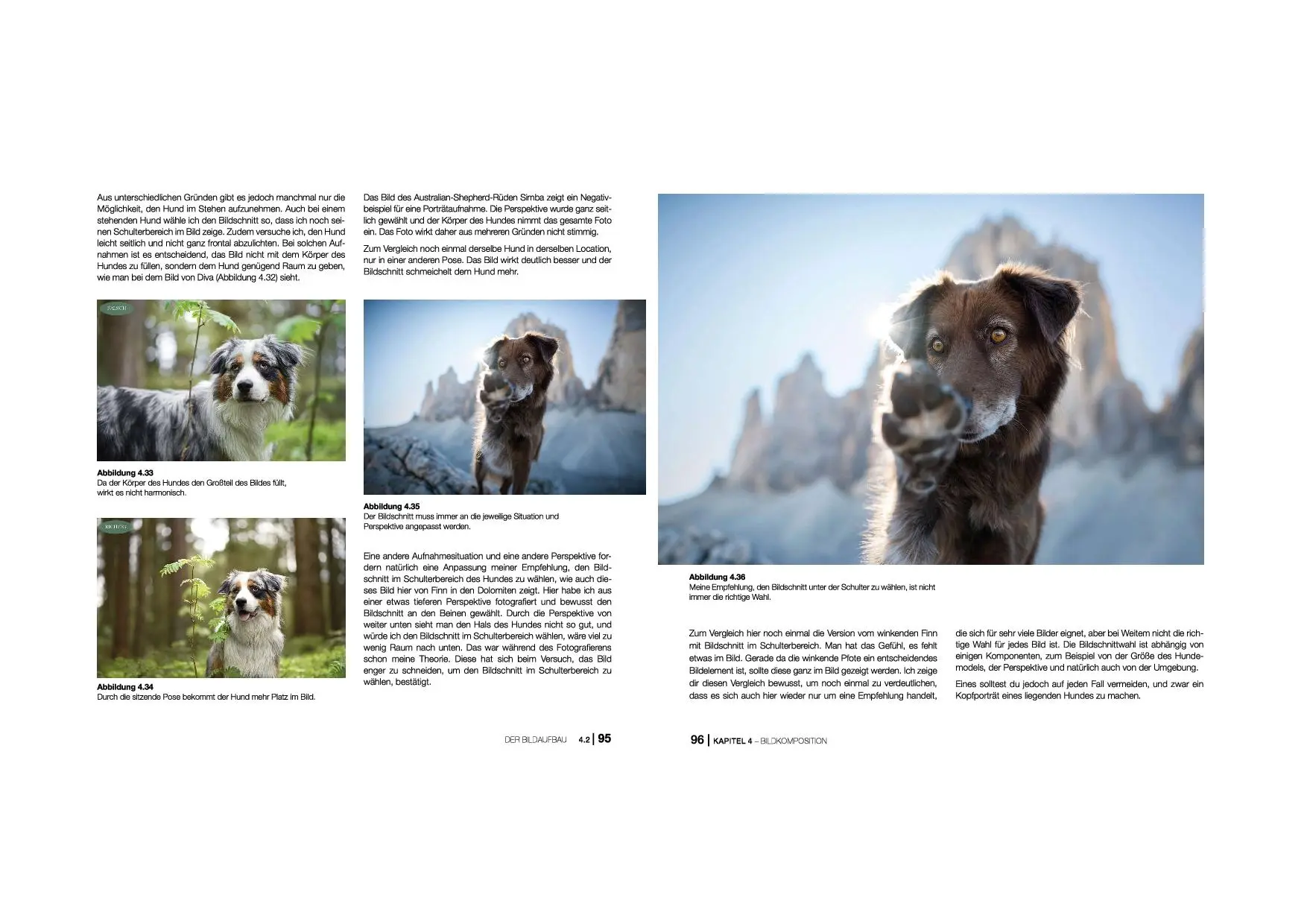 Bild: 9783747501825 | Hundefotografie | Ausdrucksstarke Porträts und actionreiche Aufnahmen