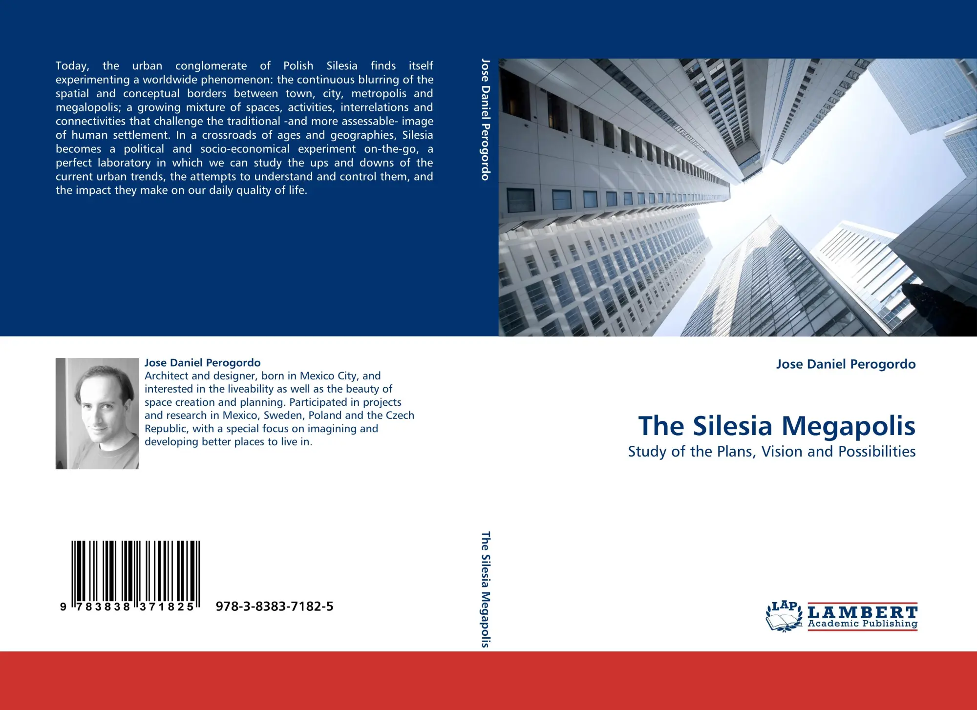 The Silesia Megapolis