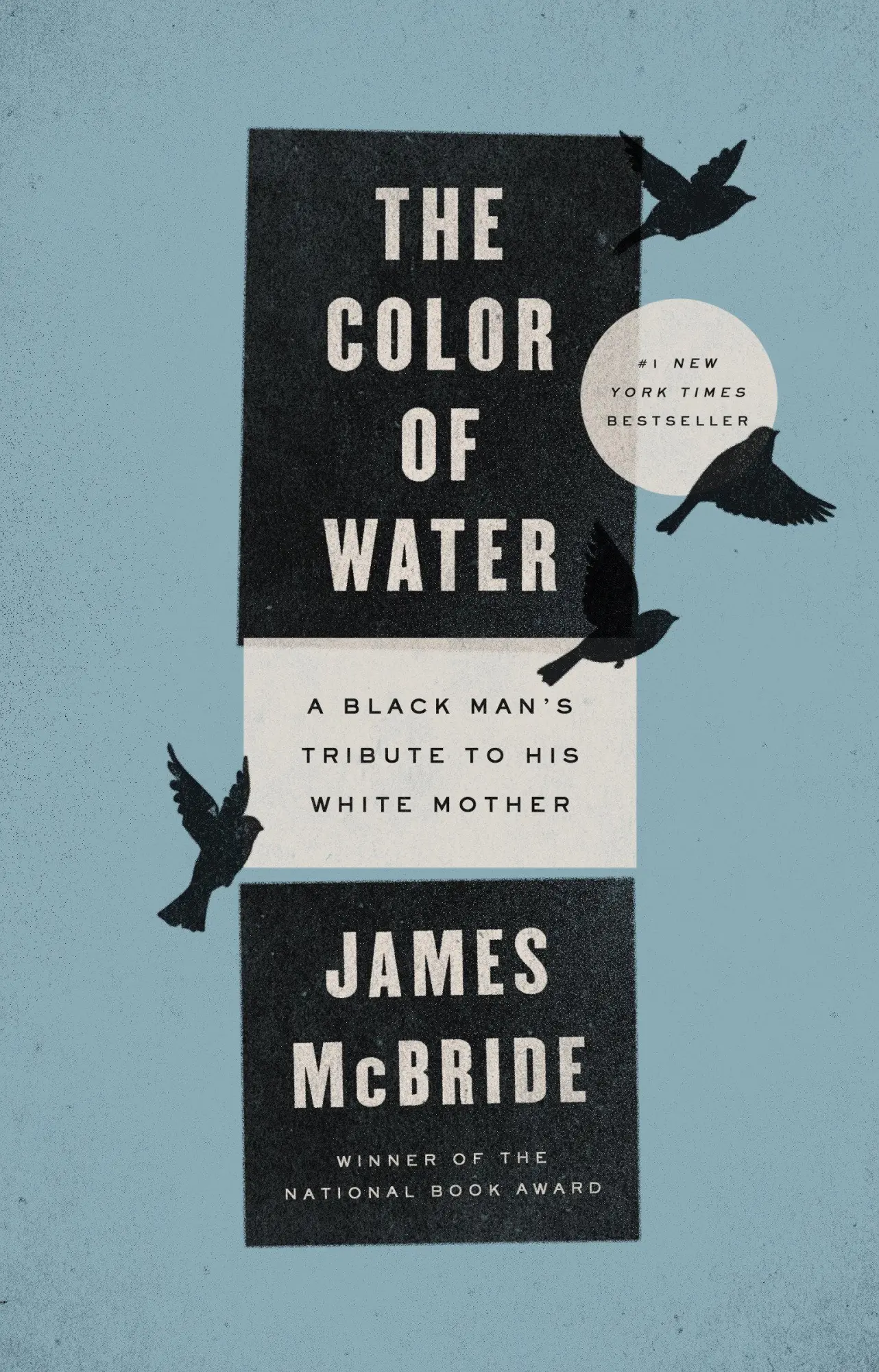 Cover: 9781594481925 | The Color of Water | A Black Man's Tribute to His White Mother | Buch