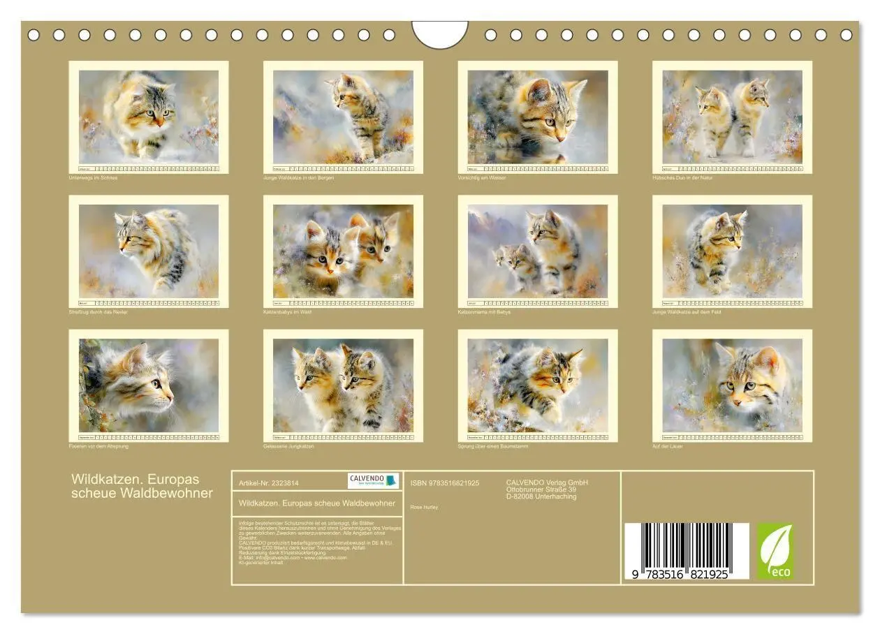 Bild: 9783516821925 | Wildkatzen. Europas scheue Waldbewohner (Wandkalender 2027 DIN A4...