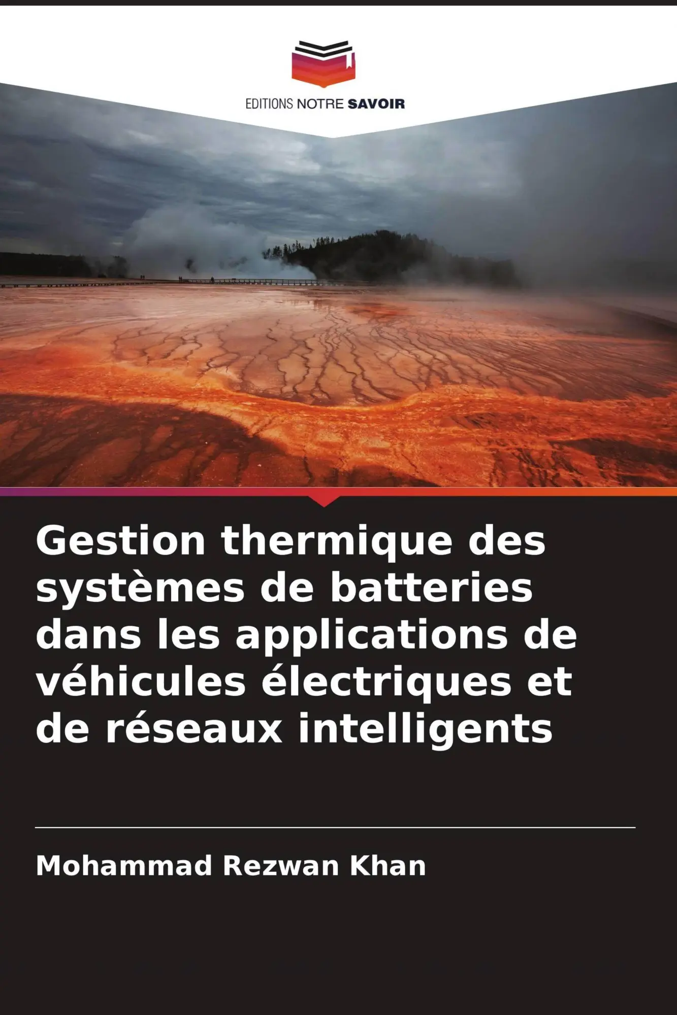 Gestion thermique des systèmes de batteries dans les applications de véhicules électriques et de réseaux intelligents