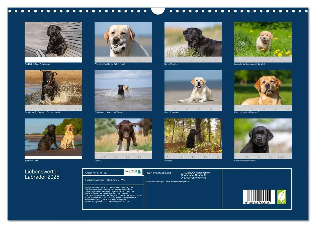Bild: 9783435532025 | Liebenswerter Labrador 2025 (Wandkalender 2025 DIN A3 quer),...