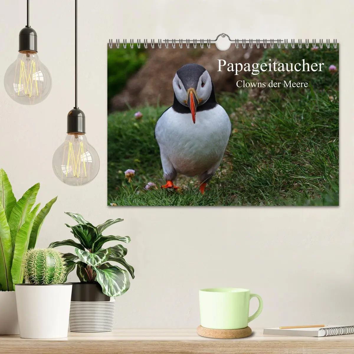 Bild: 9783516192025 | Papageitaucher Clowns der Meere (Wandkalender 2026 DIN A4 quer),...