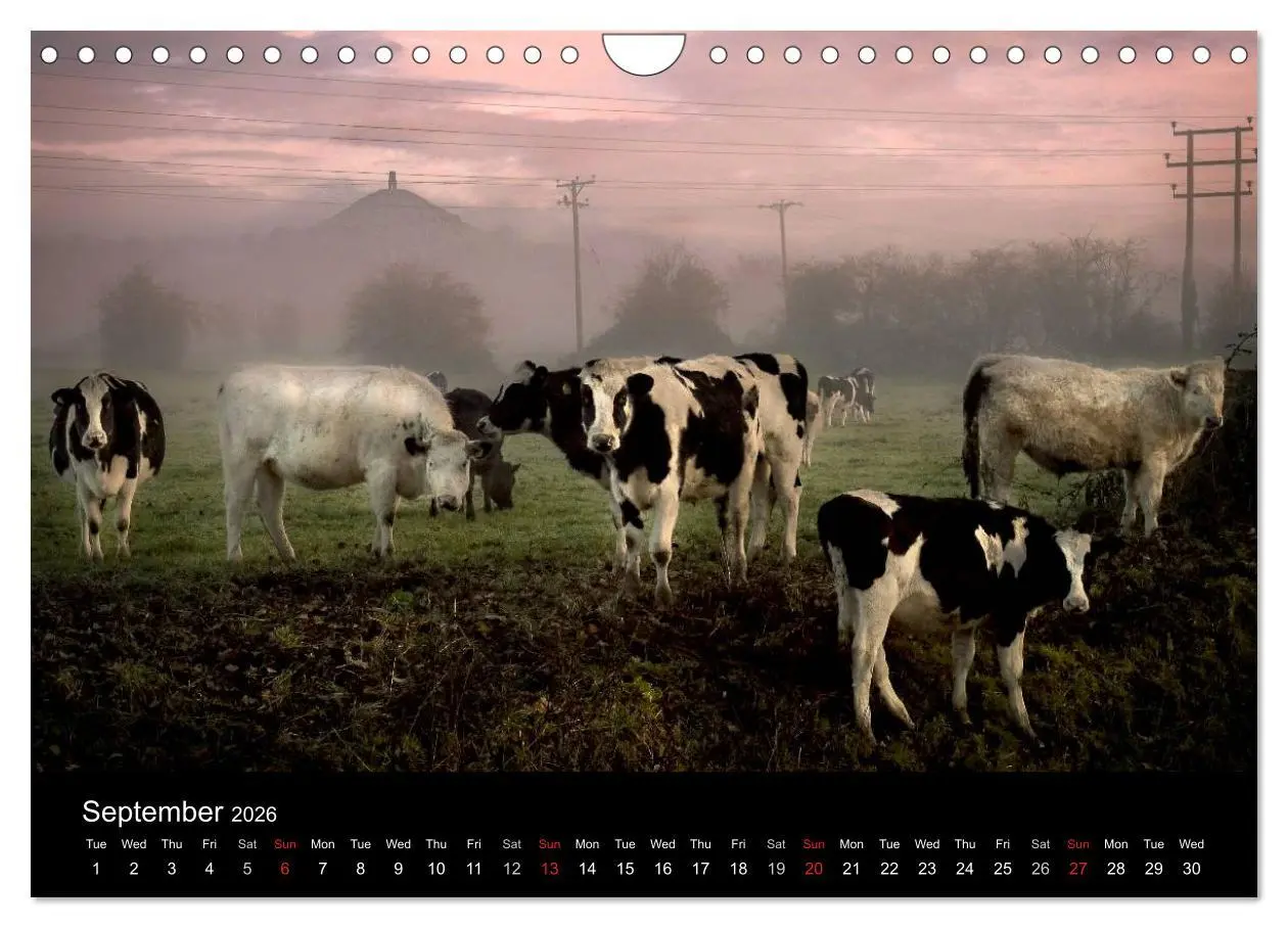 Bild: 9783516572025 | Glastonbury Tor (Wall Calendar 2026 DIN A4 landscape), CALVENDO 12...