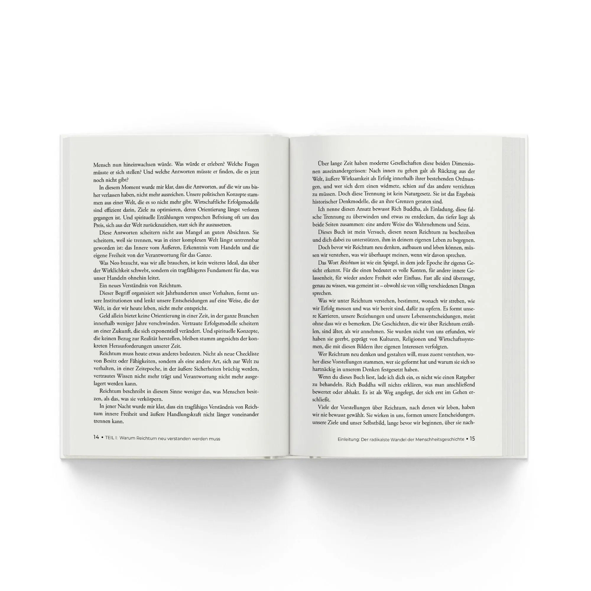 Bild: 9783689692025 | Rich Buddha | Patrick Reiser | Buch | 224 S. | Deutsch | 2026 | NOW