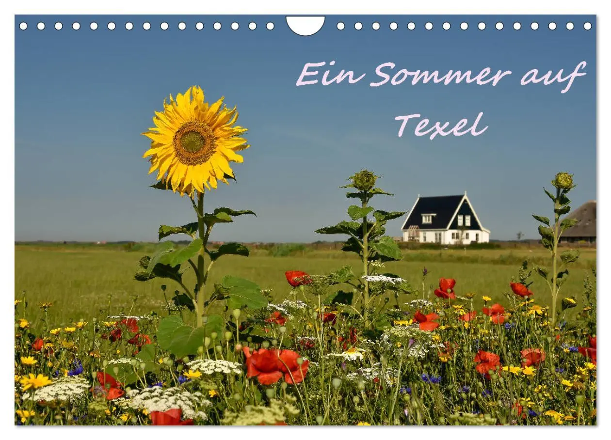 Cover: 9783457852125 | Ein Sommer auf Texel (Wandkalender 2026 DIN A4 quer), CALVENDO...