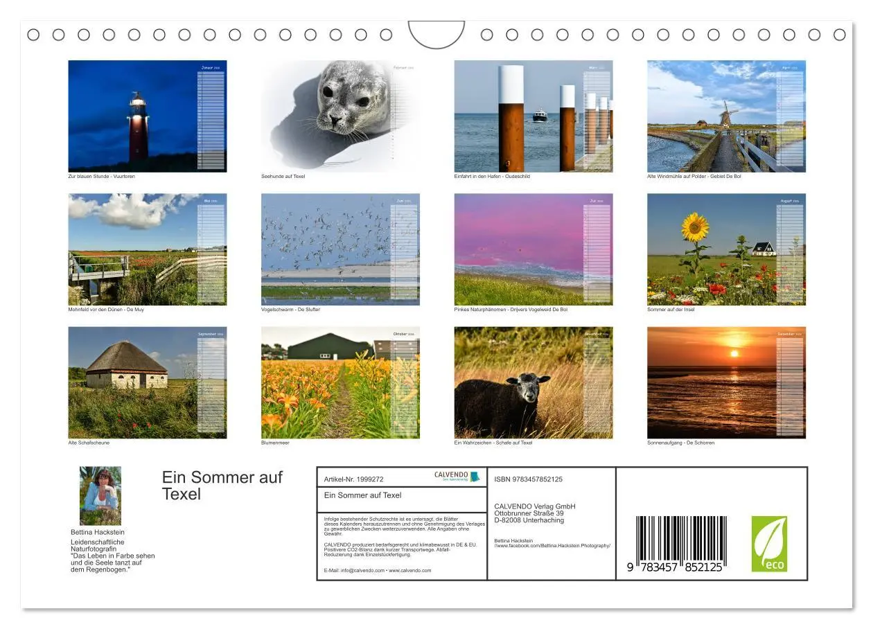 Bild: 9783457852125 | Ein Sommer auf Texel (Wandkalender 2026 DIN A4 quer), CALVENDO...