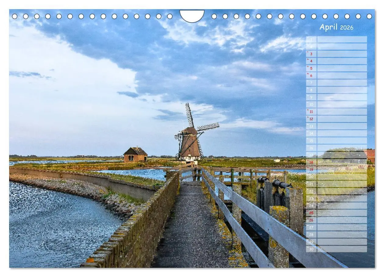 Bild: 9783457852125 | Ein Sommer auf Texel (Wandkalender 2026 DIN A4 quer), CALVENDO...