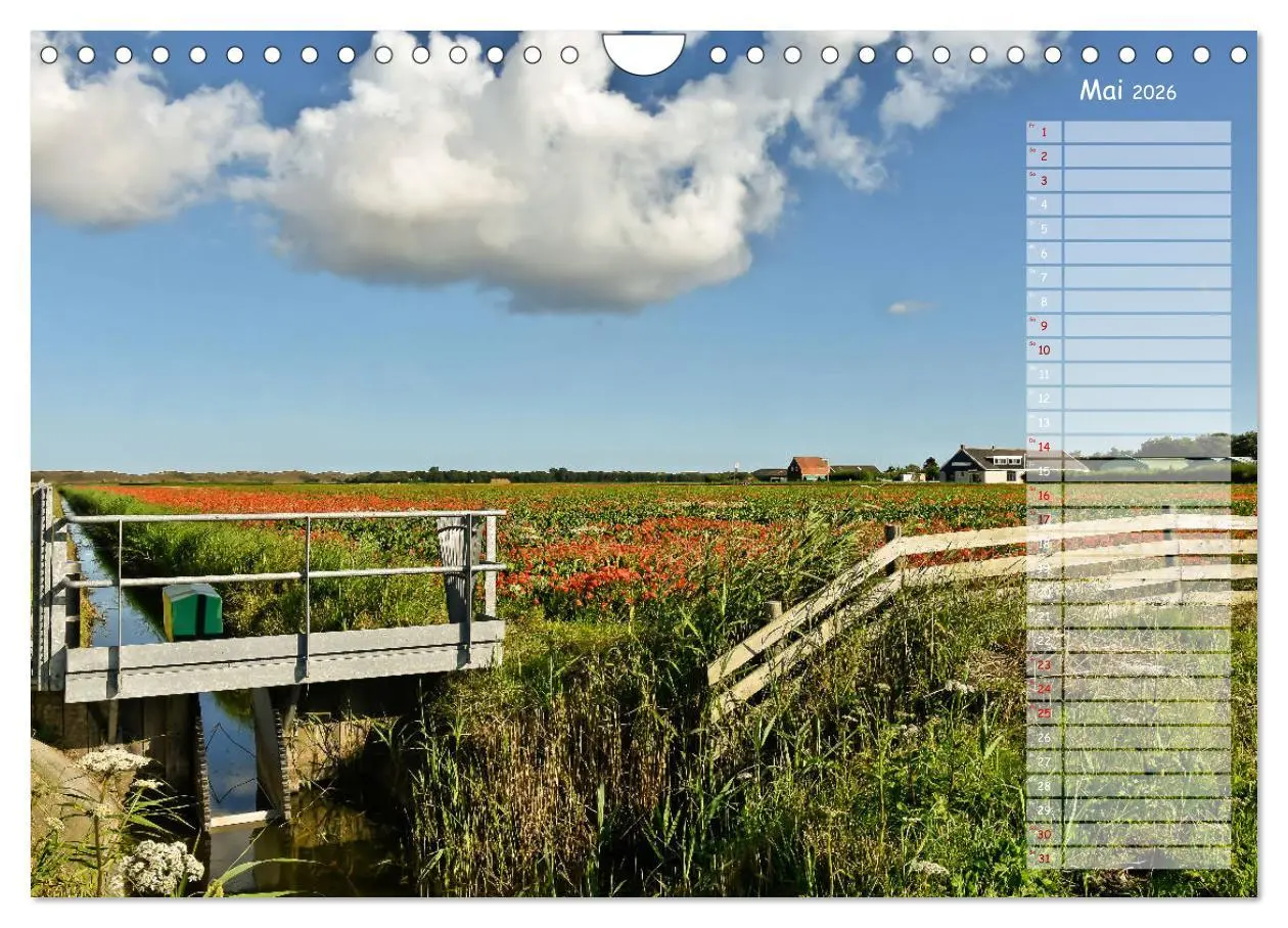 Bild: 9783457852125 | Ein Sommer auf Texel (Wandkalender 2026 DIN A4 quer), CALVENDO...