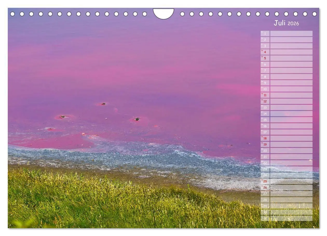 Bild: 9783457852125 | Ein Sommer auf Texel (Wandkalender 2026 DIN A4 quer), CALVENDO...