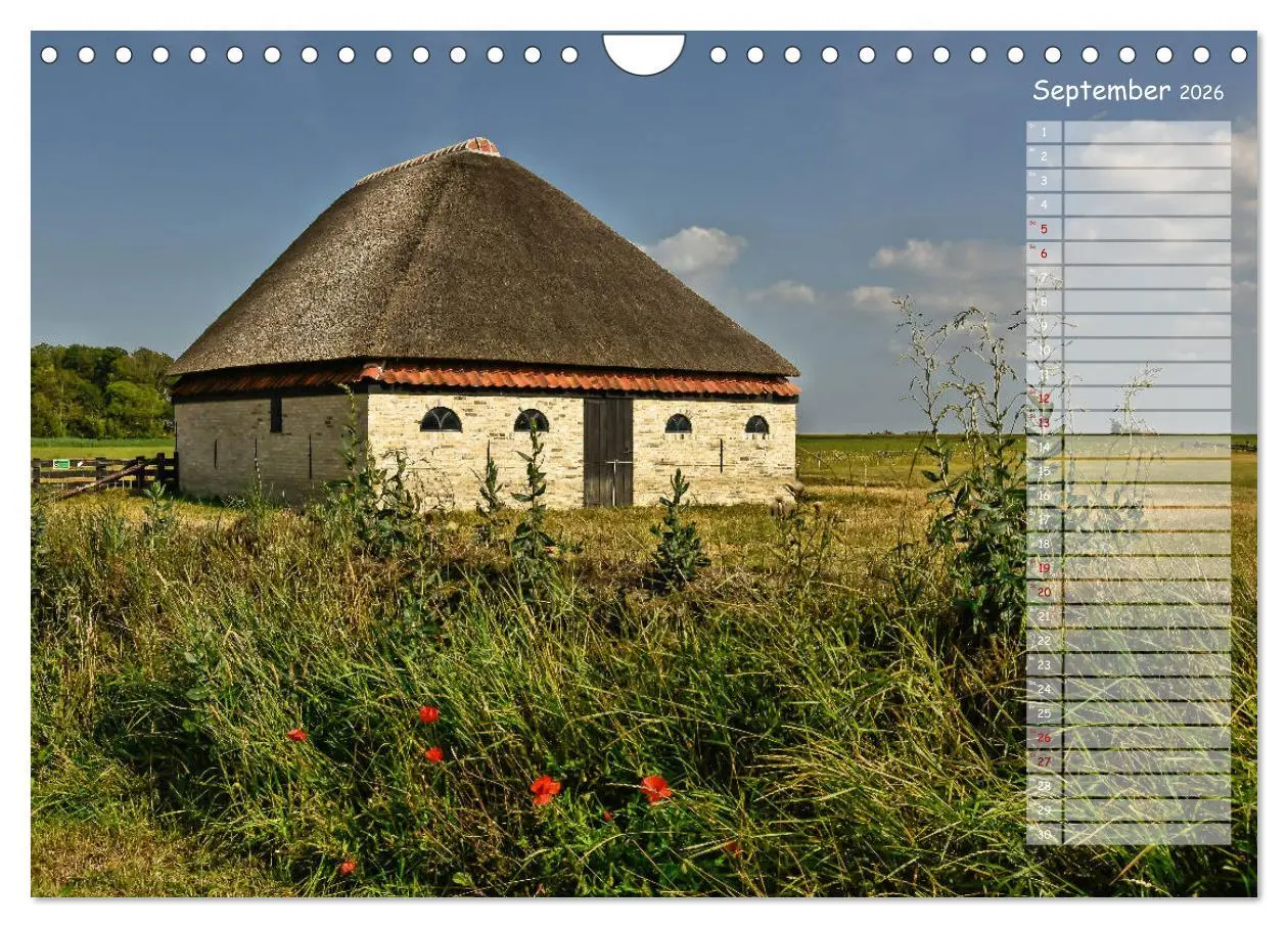 Bild: 9783457852125 | Ein Sommer auf Texel (Wandkalender 2026 DIN A4 quer), CALVENDO...