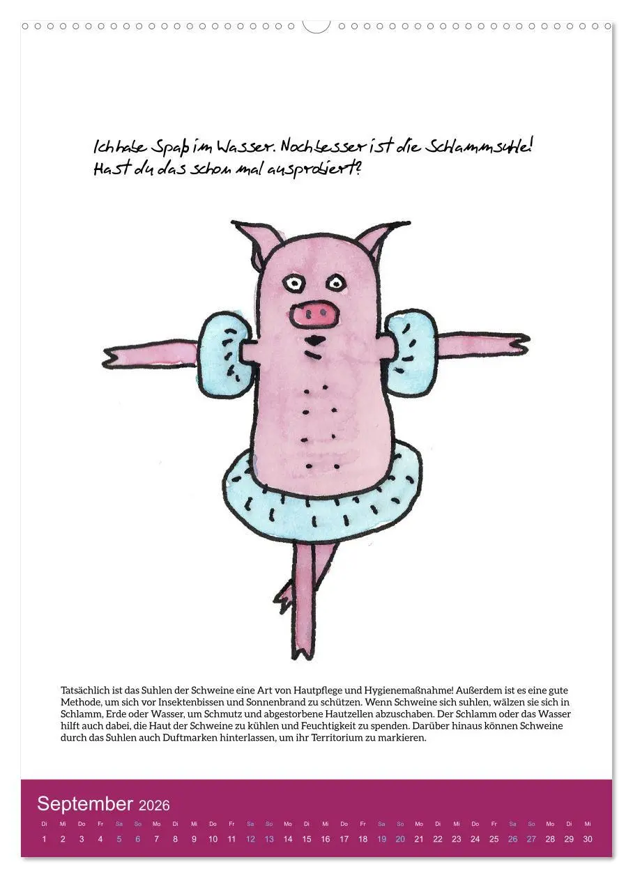 Bild: 9783516322125 | Schweinekalender - Alles was du über Schweine wissen wolltest!...