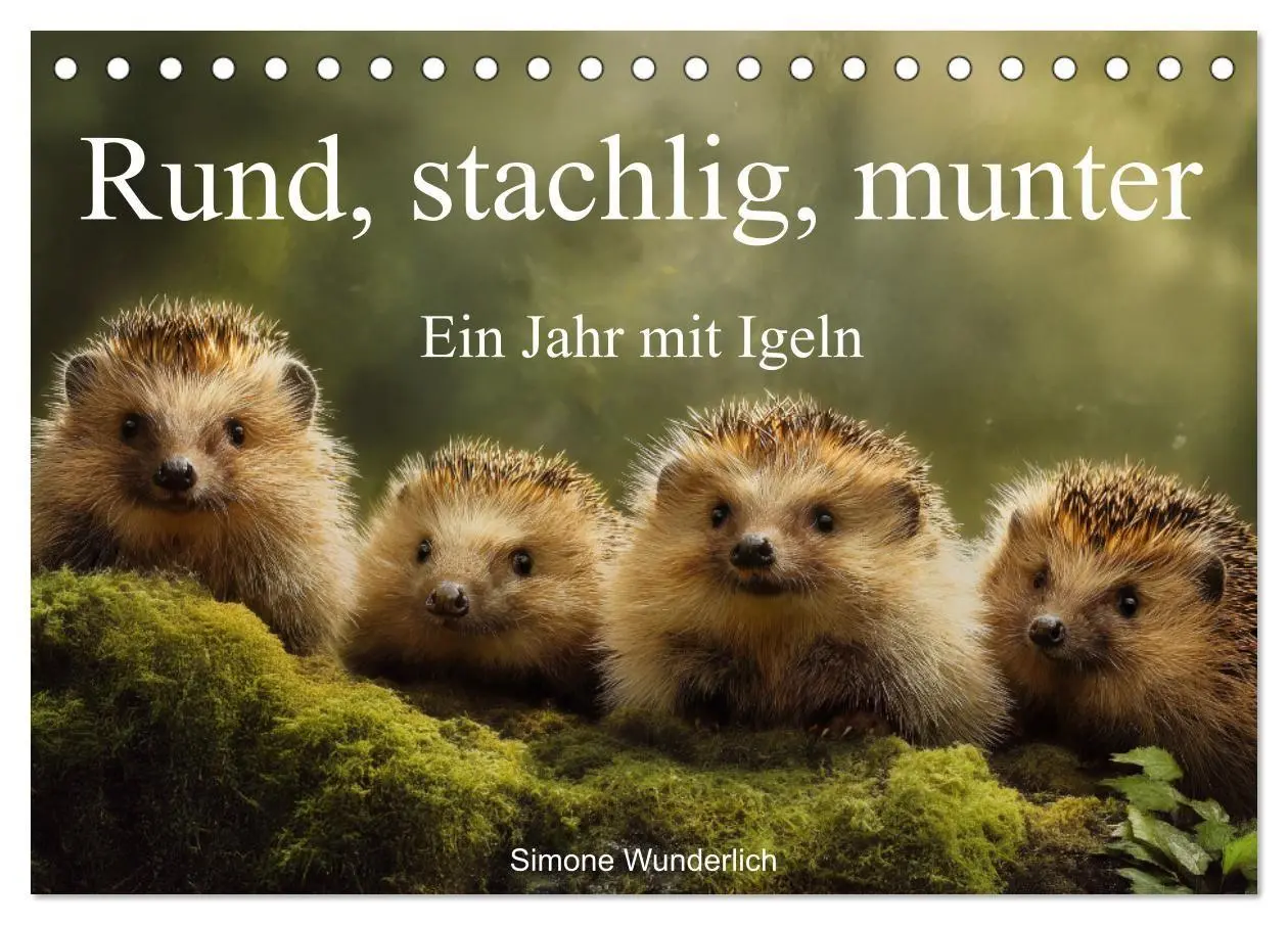 Cover: 9783516942125 | Rund, stachlig, munter - Ein Jahr mit Igeln (Tischkalender 2027 DIN...
