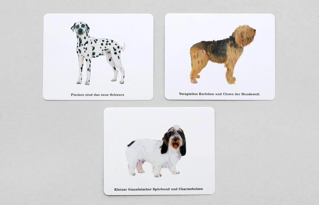 Bild: 9783962442125 | Wer kennt alle Hunde? | Ein Quiz für Hundefans | Debora Robertson