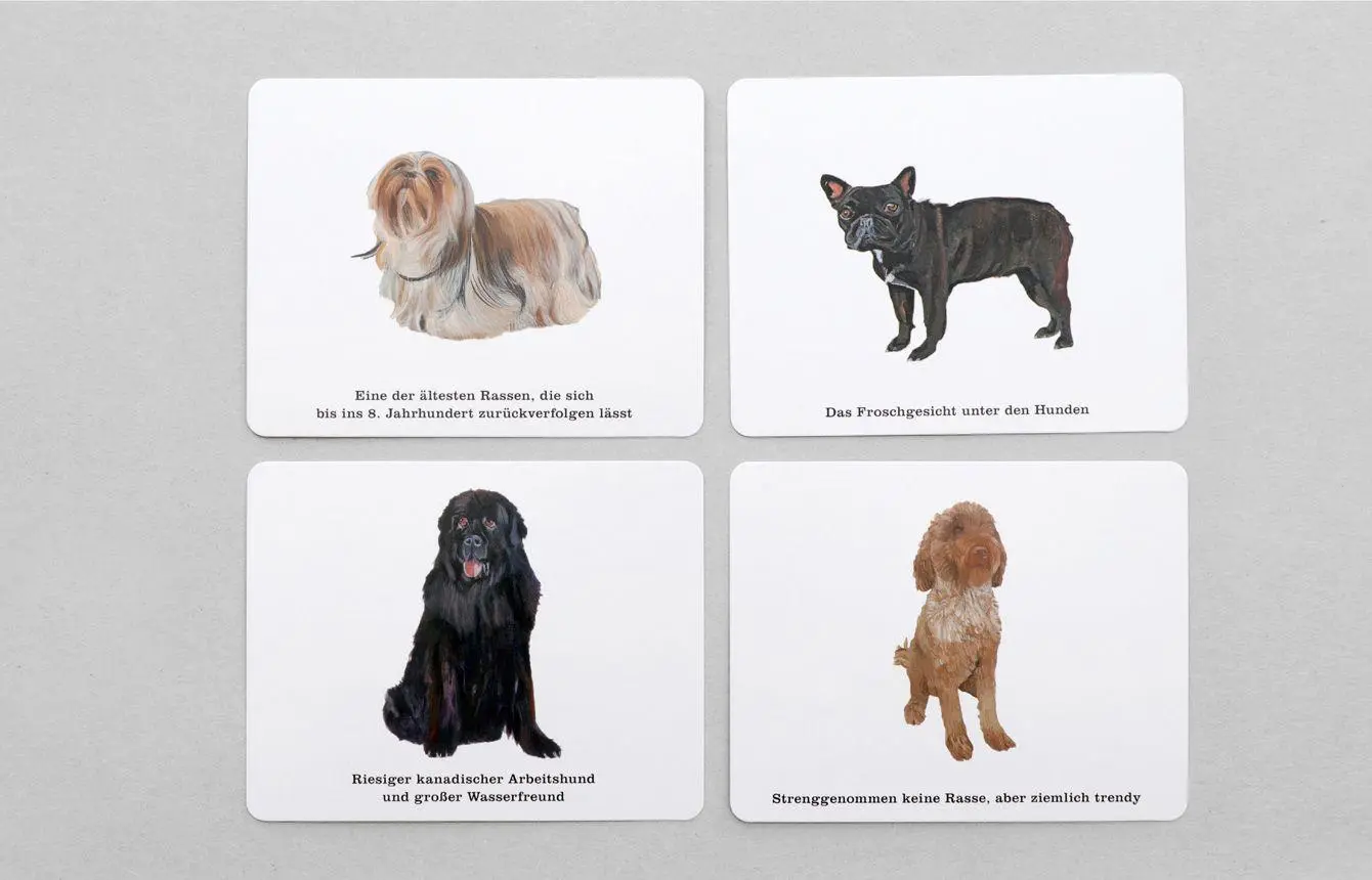 Bild: 9783962442125 | Wer kennt alle Hunde? | Ein Quiz für Hundefans | Debora Robertson