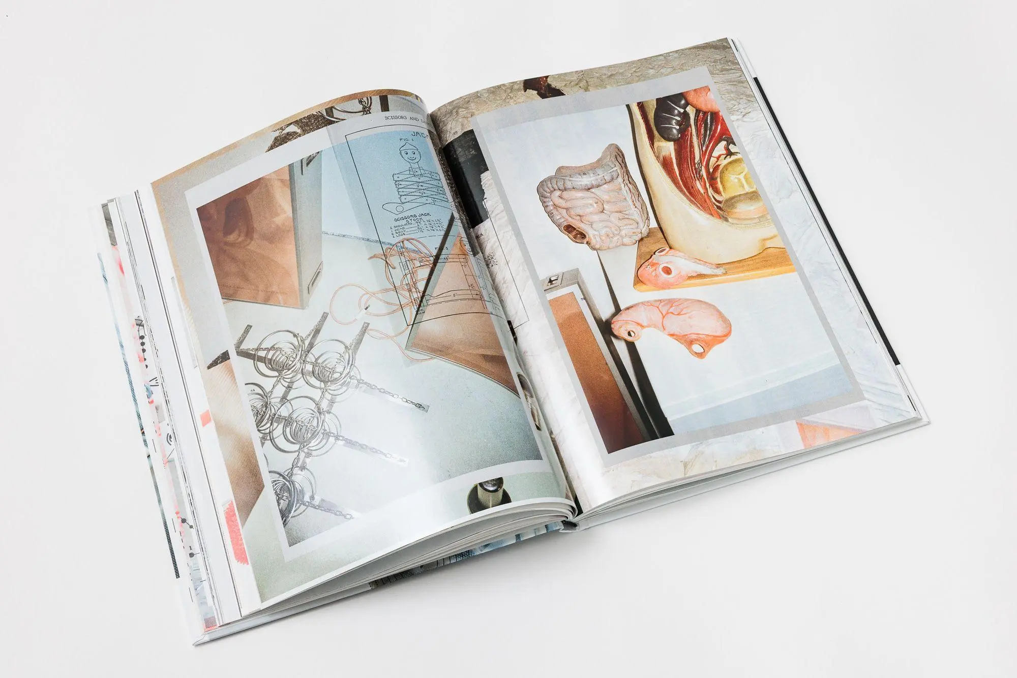 Bild: 9783991532125 | Sophie Hirsch | Frankie | Sophie Hirsch | Buch | 180 S. | Englisch