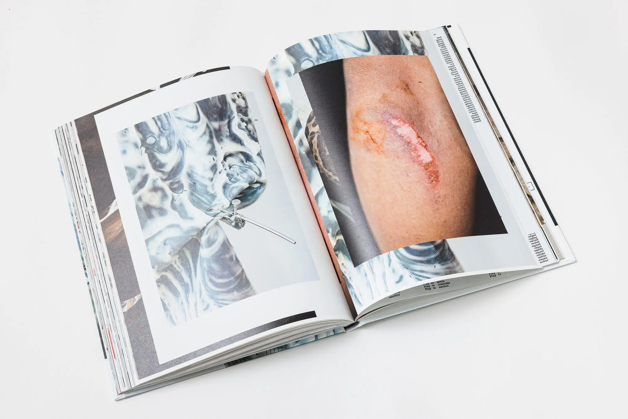 Bild: 9783991532125 | Sophie Hirsch | Frankie | Sophie Hirsch | Buch | 180 S. | Englisch