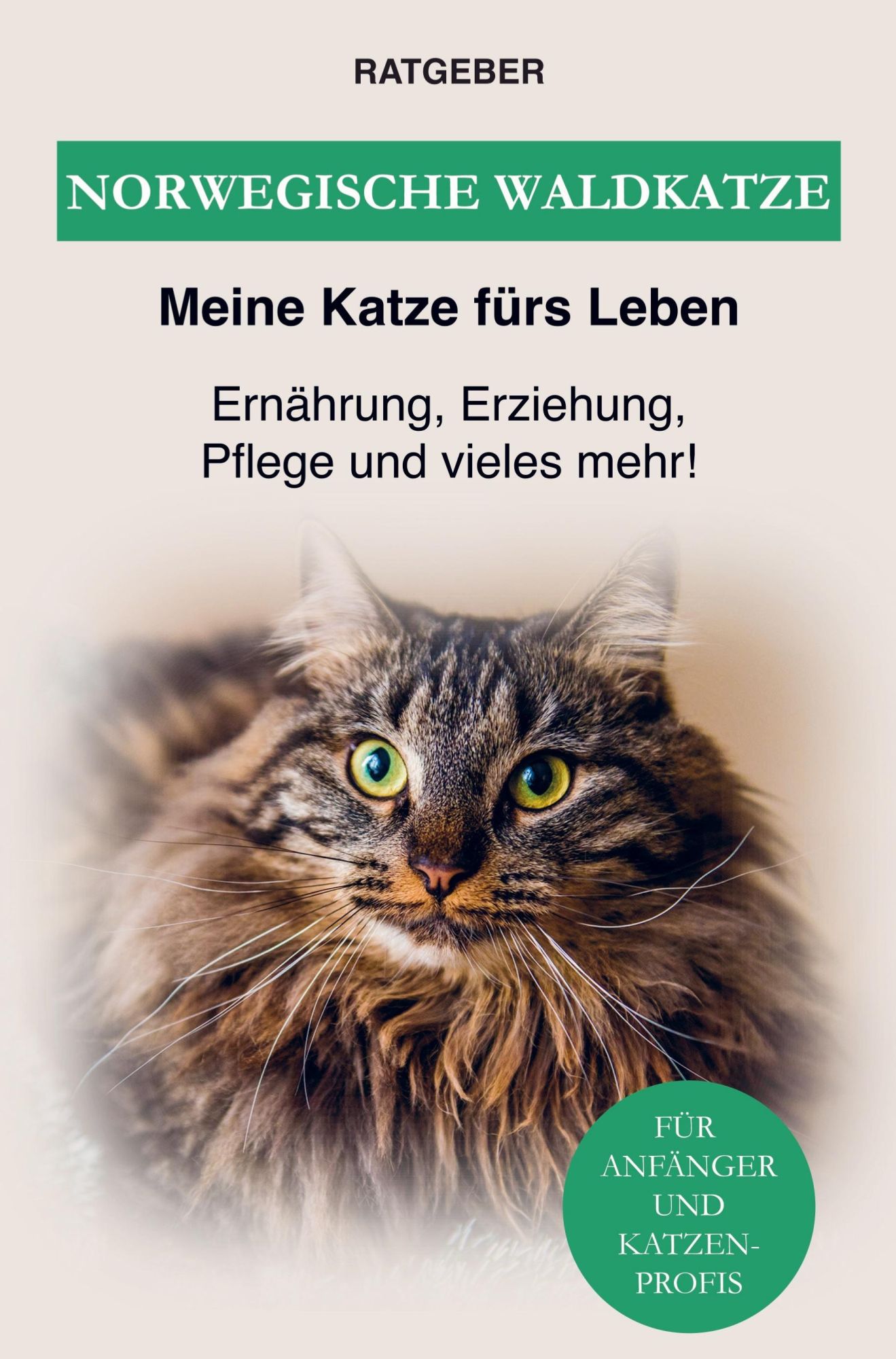 Cover: 9789403622125 | Norwegische Waldkatze | Ratgeber Meine Katze fürs Leben | Taschenbuch