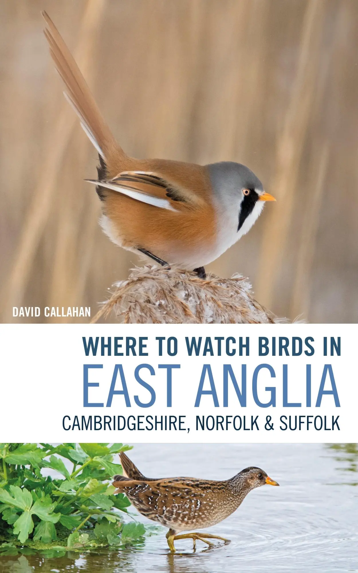 Cover: 9781472962225 | Where to Watch Birds in East Anglia | David Callahan | Taschenbuch