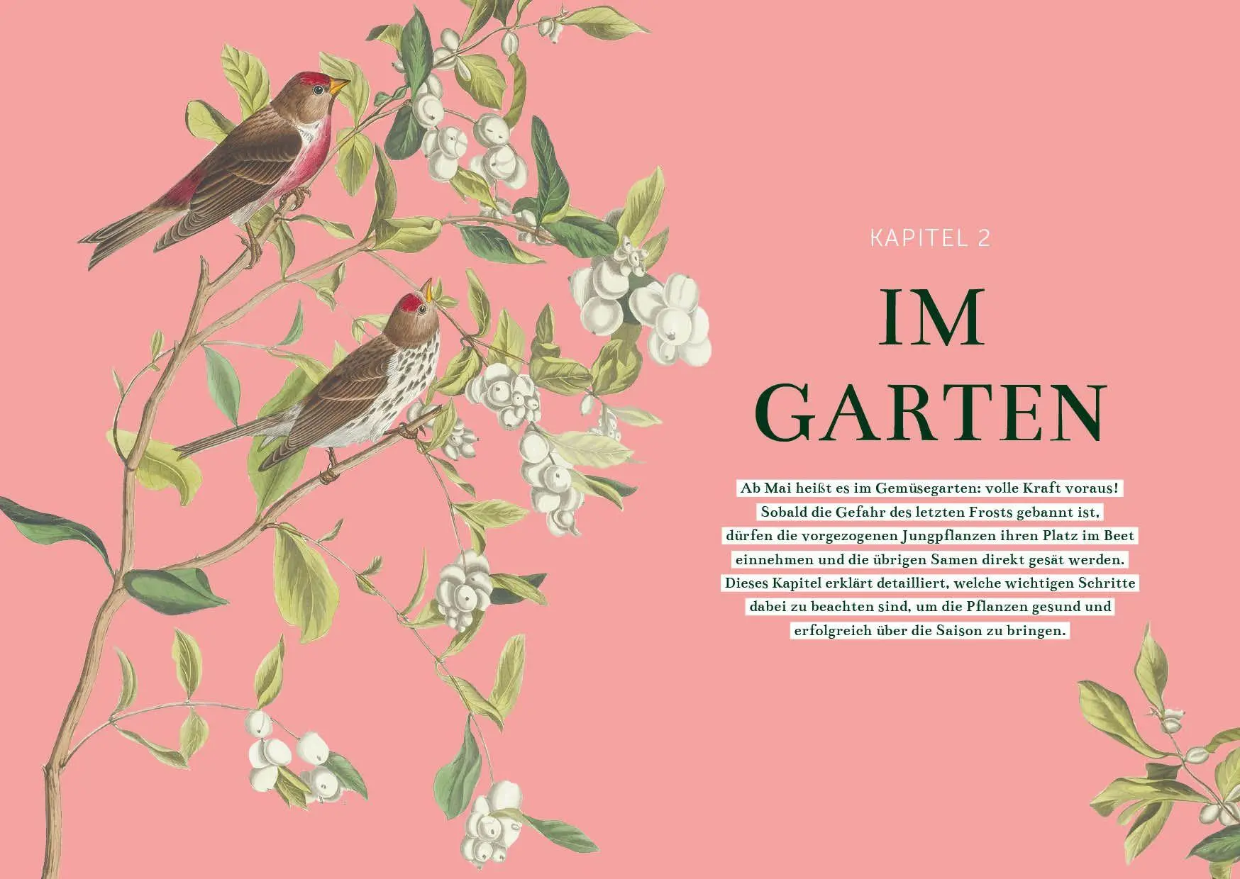 Bild: 9783745932225 | Das Gemüsegarten 1 x 1 | Kai Meret Brieske | Taschenbuch | 240 S.